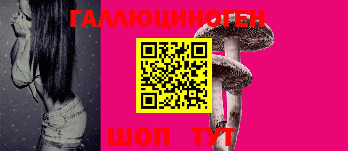 где найти   Псилоцибиновые грибы мухоморы  Вход с VPN  Галлюциногенные грибы MAGIC MUSHROOMS  Кингисепп 